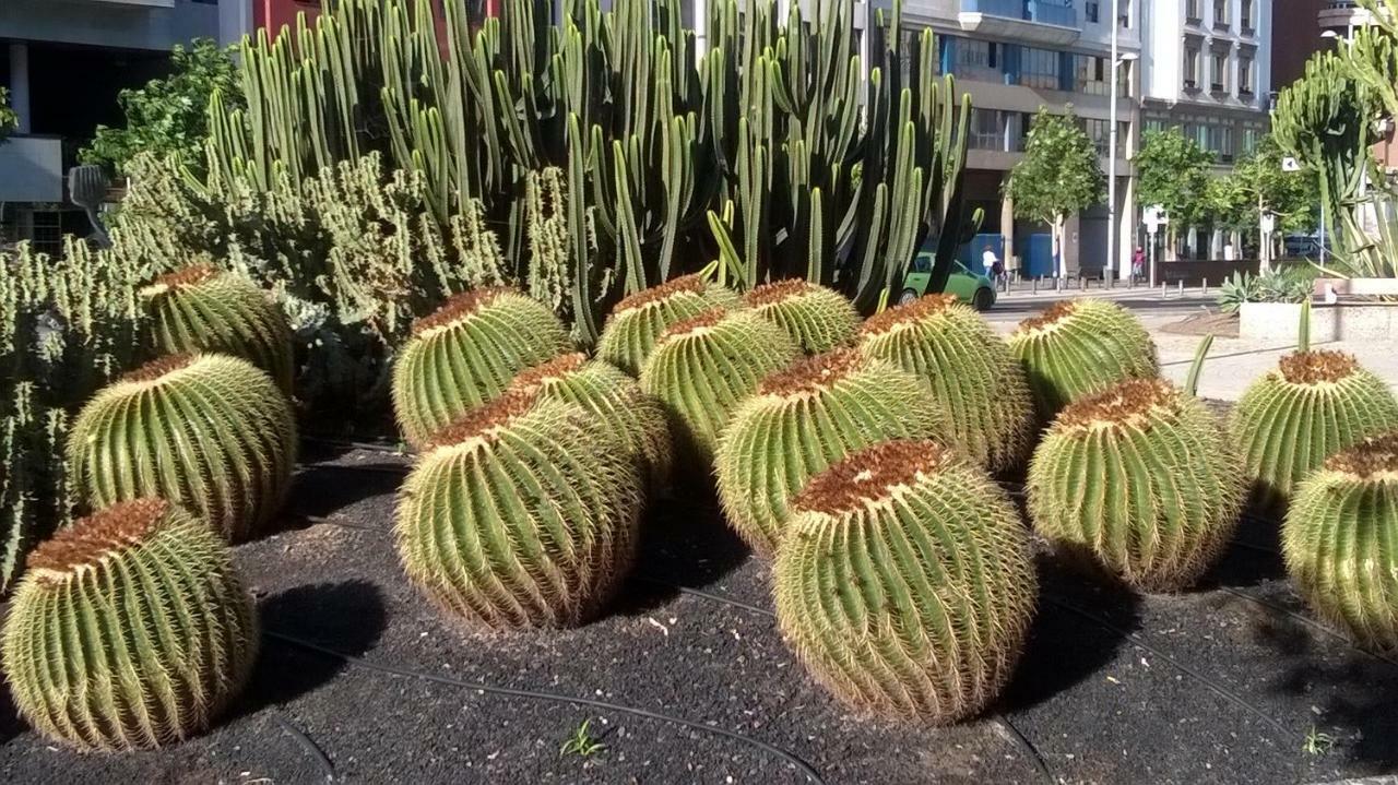 Al Golpito Apartman Las Palmas de Gran Canaria Kültér fotó